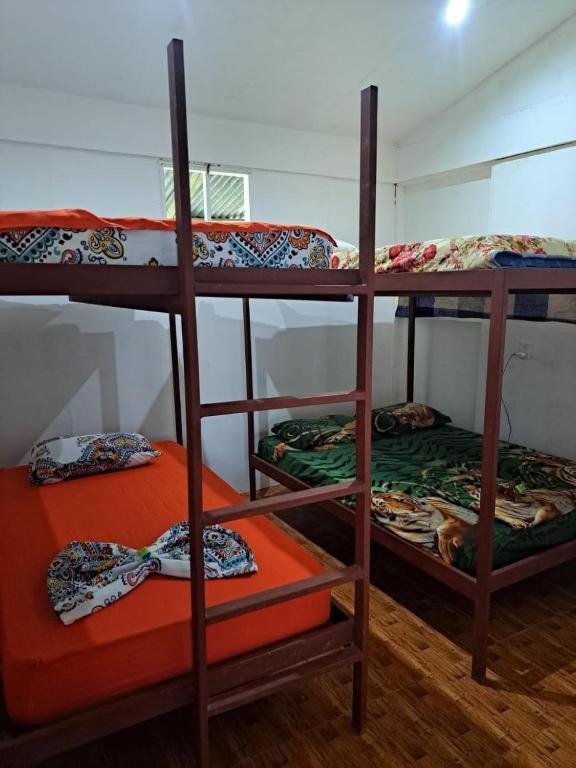 Hostel Hook And Cook Drake Bay Bagian luar foto