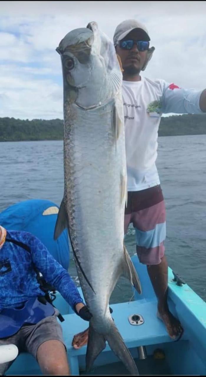 Hostel Hook And Cook Drake Bay Bagian luar foto