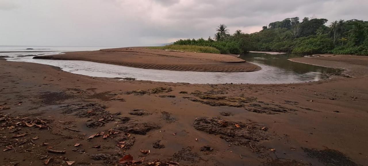 Hostel Hook And Cook Drake Bay Bagian luar foto