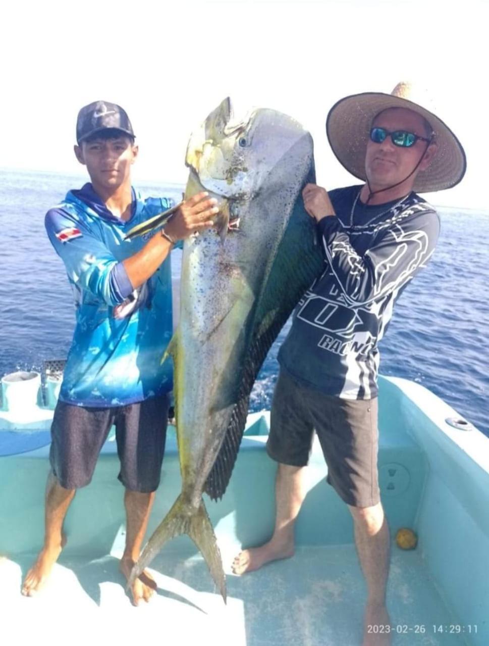 Hostel Hook And Cook Drake Bay Bagian luar foto