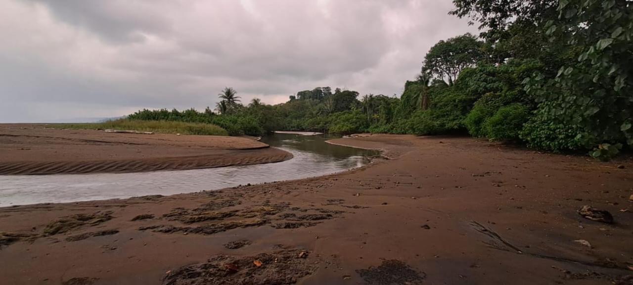 Hostel Hook And Cook Drake Bay Bagian luar foto