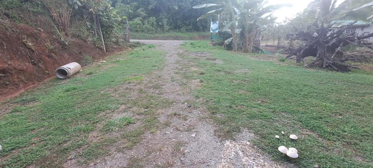 Hostel Hook And Cook Drake Bay Bagian luar foto